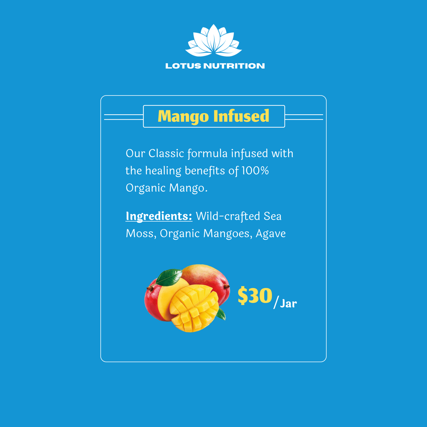 Mango Infused - Lotus Sea Moss 🪷